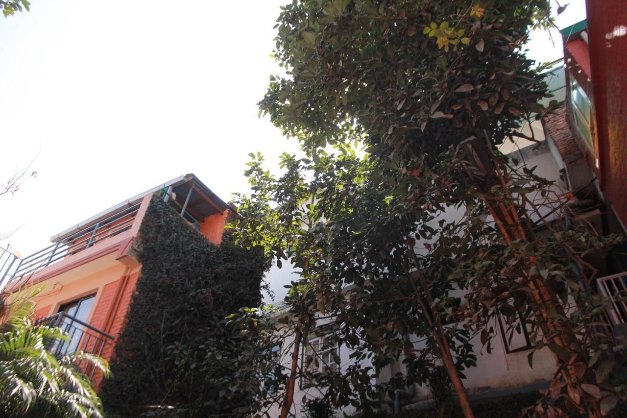 Ojas Wellness B&B Lalitpur Εξωτερικό φωτογραφία